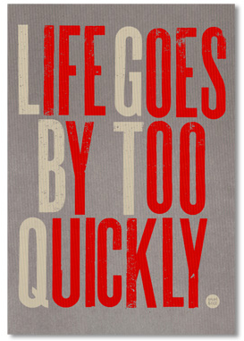 revel and riot lgbt poster revel and riot life goes by too quickly poster